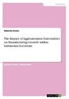 The Impact of Agglomeration Externalities on Manufacturing Growth within Indonesian Locations