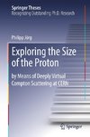 Exploring the Size of the Proton