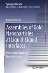 Assemblies of Gold Nanoparticles at Liquid-Liquid Interfaces