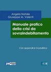 Manuale pratico della crisi da sovraindebitamento