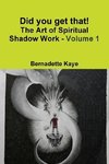 Did you get that! The Art of Spiritual Shadow Work - Volume 1