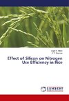 Effect of Silicon on Nitrogen Use Efficiency in Rice