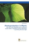 Photoprotection in Plants