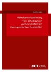 Mehrskalenmodellierung von Schädigung in gummimodifizierten thermoplastischen Kunststoffen