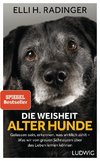 Die Weisheit alter Hunde