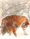 Fantasy Notizbuch 14: Tiger im Schnee