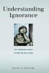 Understanding Ignorance