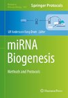 miRNA Biogenesis