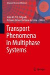 Transport Phenomena in Multiphase Systems