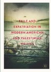 Exile and Expatriation in Modern American and Palestinian Writing