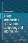 A First Introduction to Quantum Computing and Information