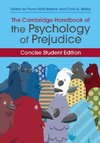 The Cambridge Handbook of the Psychology of             Prejudice