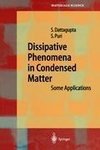 Dissipative Phenomena in Condensed Matter