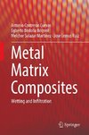 Metal Matrix Composites