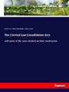 The Criminal Law Consolidation Acts
