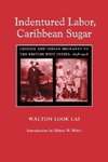 Look: Indentured Labor, Caribbean Sugar