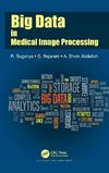 Big Data in Medical Image Processing