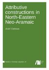 Attributive constructions in North-Eastern Neo-Aramaic