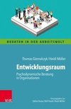 Entwicklungsraum: Psychodynamische Beratung in Organisationen