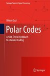 Polar Codes