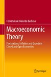 Macroeconomic Theory