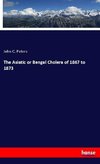 The Asiatic or Bengal Cholera of 1867 to 1873