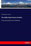 The Coffer-Dam Process for Piers