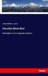 The Little White Bird