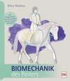 Biomechanik des Reiters