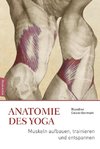 Anatomie im Yoga