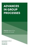 Advances in Group Processes