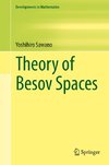 Theory of Besov Spaces