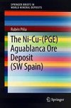 The Ni-Cu-(PGE) Aguablanca Ore Deposit (SW Spain)