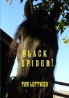 BLACK SPIDER !