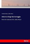 Antonio Allegri da Correggio