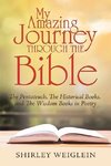 My Amazing Journey Through the Bible