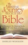 My Amazing Journey Through the Bible