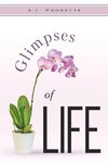 Glimpses of Life