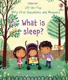 Very First Lift-the-Flap Questions & Answers What is Sleep?