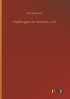 Washington in Domestic Life