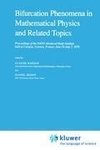 Bifurcation Phenomena in Mathematical Physics and Related Topics