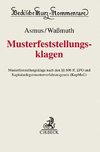 Musterfeststellungsklagen