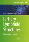 Tertiary Lymphoid Structures