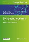 Lymphangiogenesis