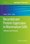 Recombinant Protein Expression in Mammalian Cells