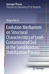 Evolution Mechanism on Structural Characteristics of Lead Contaminated Soil in the Solidification/Stabilization Process