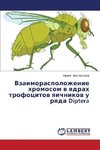 Vzaimoraspolozhenie hromosom v yadrah trofocitov yaichnikov u ryada Diptera