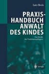 Praxishandbuch Anwalt des Kindes