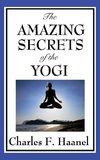 The Amazing Secrets of the Yogi