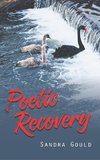 Poetic Recovery